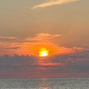 Meet your Posher, Quinn